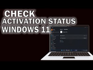 How to Check Activation Status on Windows 11 [2024]