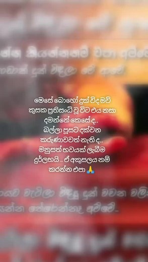 සබ්බං පහාය ගමනීයං (@_ehi_passiko)’s videos with original sound - සබ්බං පහාය ගමනීයං
