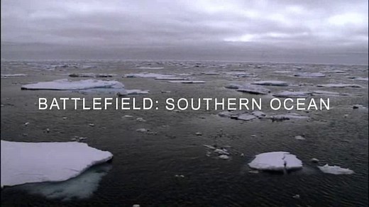 Whale Wars (TV Series 2008– )