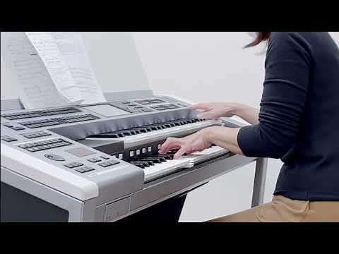 Night Birds/ Shakatak ナイト・バーズ 〜エレクトーン演奏〜