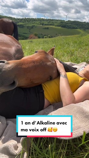 Un an avec Alkaline : une relation équestre transformante