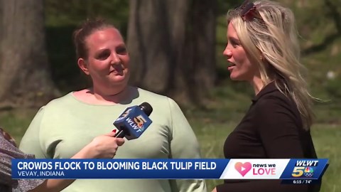 Celebrity tattoo artist Kat Von D plants 15,000 black tulips next to her Indiana home