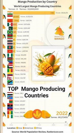 Top Mango Producing Countries in the World 🥭 | Largest Mango Producers by Country