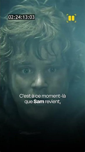 In The Lord of the Rings: The Return of the King, that is not the actor who plays Sam’s arm at all