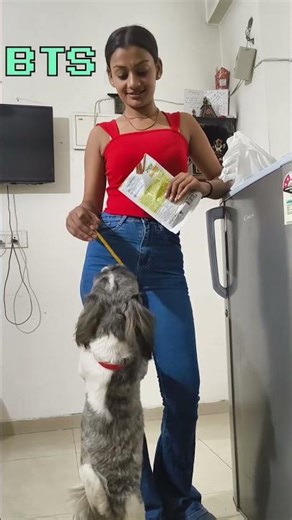 Nonu only works for treats... 😂 #BTS