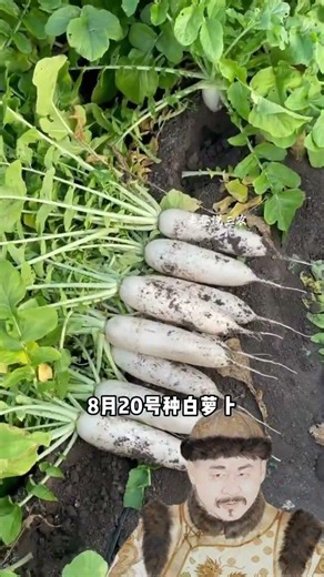 Autumn is almost here—be sure to save this planting schedule #GardeningTips #PlantingVegetables #...