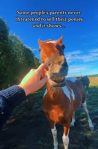 Overcoming Pony Riding Fears: A Shared Experience