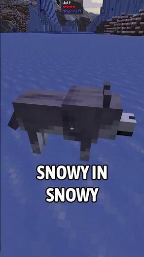 Minecraft’s 9 Wolves are Amazing! 😱 #minecraft