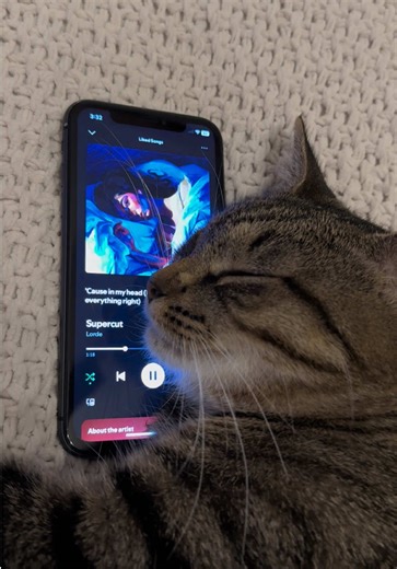 Rory's Playlist Pt. 214: Lorde Music Supercut