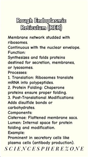 Rough endoplasmic reticulum structure and function | CELL ORGANELLE structure and function| RER