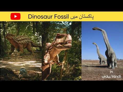Dinosaur fossils in Pakistan 