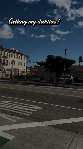 I finally got my #dahlias ! @Generation8tattoo Eventually getting my dermals removed bc they’re rejecting :( but it’s ok bc ima get my dimples pierced to replace but the bar this time .. #piercings #fyp #bodymodsoftiktok #losangeles