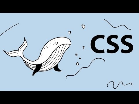 CSS