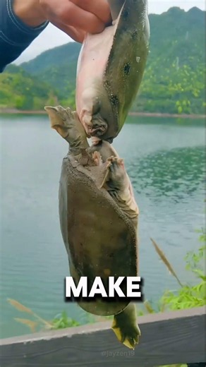 DON’T GET BITTEN BY THIS ANIMAL!