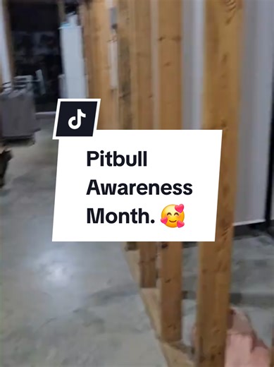 Celebrate Pitbull Awareness Month with Buford!