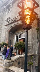 We were delighted to welcome the Irish Roots Show for Ireland Fashion Week yesterday and it was such a joy to see The Great Hall transformed into a whimsical woodland & a runway through the Gothic Ballroom. We take enormous pride in how Slane Castle can be a blank canvas for creativity and art in all its forms 🏰 @irelandfashionweek #irelandfashionweek #fashion | Slane Castle