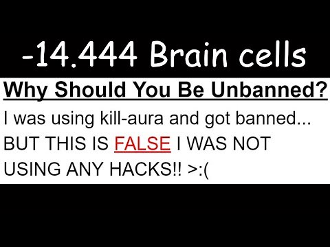 Minecraft Ban Appeals To Damage Your Brain