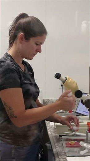 A Perfect Fit: Courtney Zehr