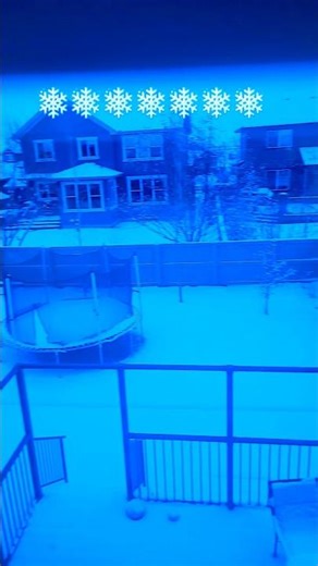 SNOW! 🇨🇦 ❄️ #viral #christmas #memes #funny #holiday #snow