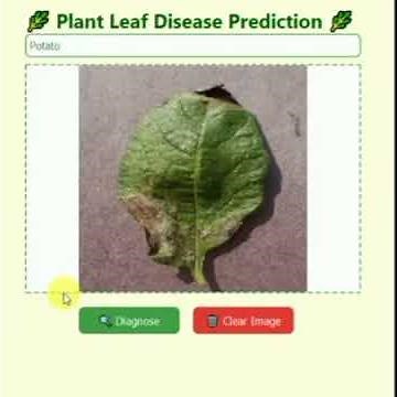 AI Based Potato Leaf Disease Detection | Smart Farming with Deep Learning