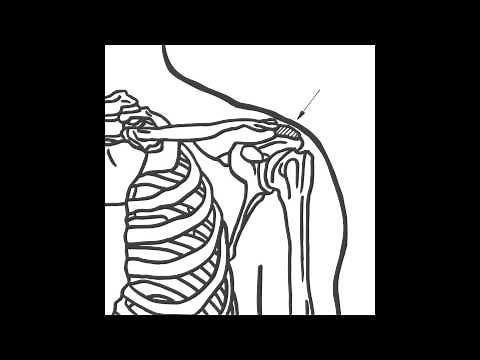 Measuring: Sitting Shoulder Height (15)