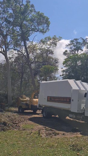 Threading the needle | Tree Logistics