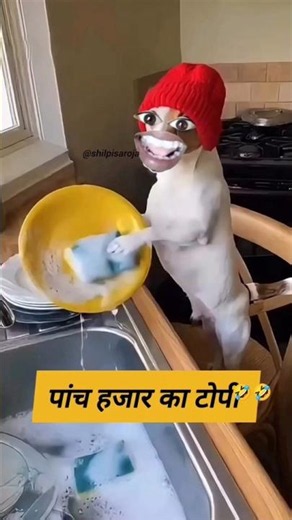बंदर ने टोपी मांग लिया 🤣🤣 #funny #comedy #thetharpuns #shilpisaroja #aalupyajjoke