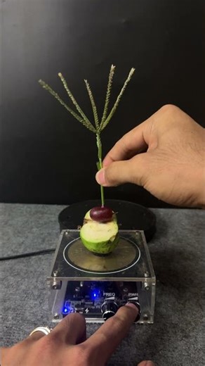 Tesla Coil Testing #experiment #shorts