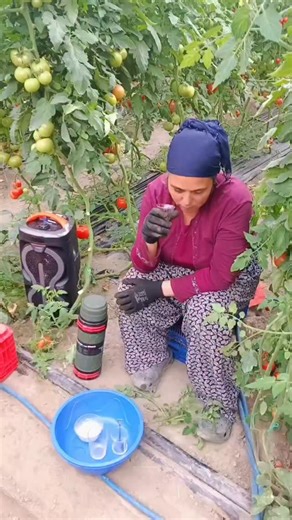 Instagram video by kumsal • Feb 5, 2026 at 3:53 AM