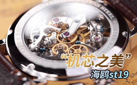 【机械表的魅力】俘获钢铁直男的心，一起来欣赏一下国产经典，海鸥st19的机芯之美