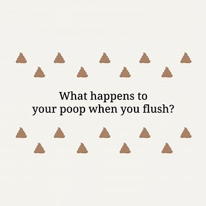 Ever wondered where the human poop goes after flushing? Here’s what people had to say. To watch the complete video, visit our YouTube page. #SwachhBharat FSSM Odisha Dasra | Gates Foundation India