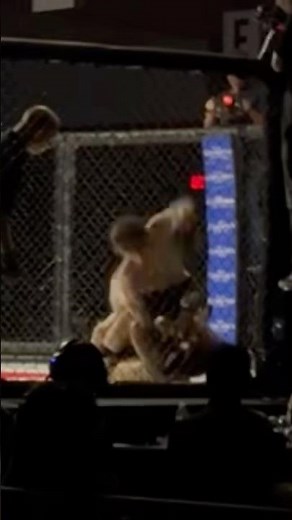 1st round TKO for the 🍯🦡 #mma #tko #takedown #damage #control #ufc #momentum