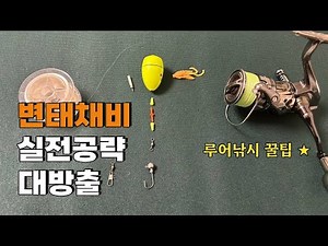 Saemangeum and Sihwa Seawall Rockfish Variations and Variations Lure Fishing Tips and Practical S...