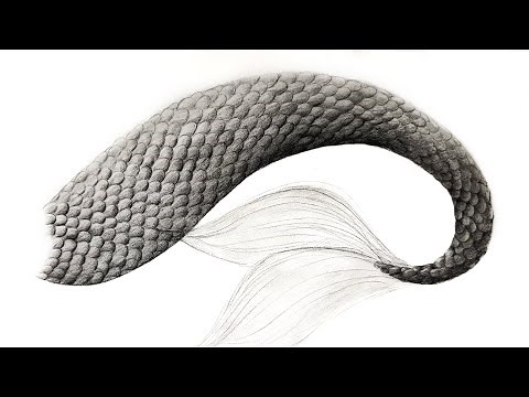 How To Draw Scale Texture With Pencils