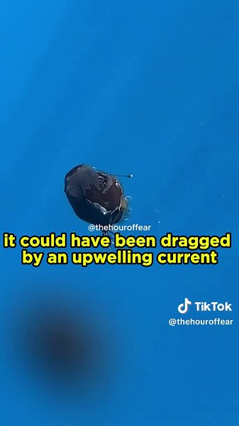 The Hour of Fear on TikTok