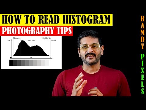 Photography Basic Histogram என்றால் என்ன? | Beginner tip | எதற்கு பயன்படுகிறது? | Explained Simply