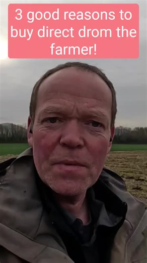 Grow Your Own Rhubarb: Fresh Crowns Available