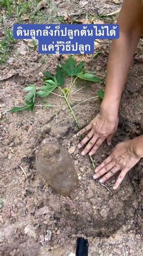 You can grow plants in any type of soil, you just need to know the simple methods and techniques....
