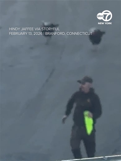 Wild turkeys were caught on camera hilariously terrorizing a UPS driver trying to make deliveries in Connecticut. The driver was seen running from door to door to dodge the birds and forming plans to avoid them while in his truck. “Ya’ll better back up,” he yells at them while taking cover in his UPS truck at one point in the video. “Jesus Christ. I’m 40-years-old, I can’t deal with this,” he says, before making another run for it. “I thought I heard the neighbors fighting so I went to look out