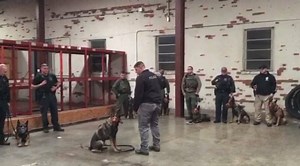 10K views · 328 reactions | Did you know that our K-9 unit is recognized as the best in the state and one of the best in the nation? Here is some footage from a recent weekly training session during which the GCSO hosted handlers from the Summerville Police Department, the Anderson County Sheriff's Office, the Simpsonville Police Department and the Rutherfordton, NC Sheriff's Office. | Greenville County Sheriff's Office | Facebook