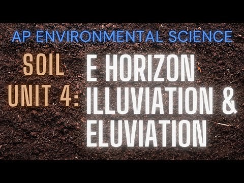 APES Soil Unit 4: E Horizon, Eluviation & Illuviation