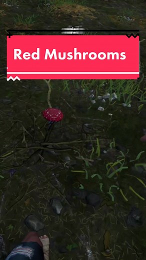 Find mushrooms like Mario #vr #gaming #grimvr #grim #rust #rustvr #quest2 #fyp