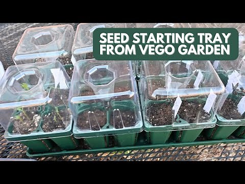 Sowing Seeds in the Seed Starting Trays from Vego Garden