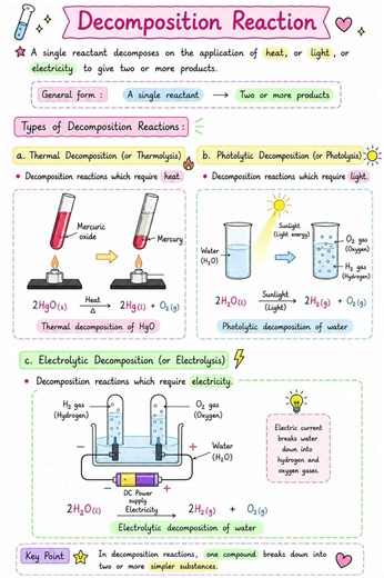 Class 10 Science Notes PDF | ₹9 Chapter Notes | Full PCB ₹99