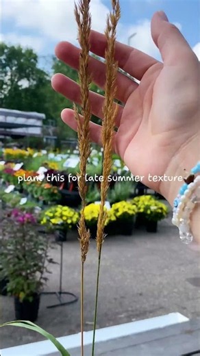 Ornamental grasses are a gardens best friend