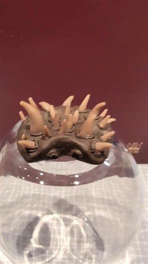 Plant vs Zombies - Spikeweed #clay #pvz