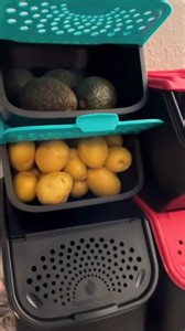 PSA: Your containers should be smart too 🤓🥔 Our Potato Smart and Onion & Garlic Smart Containers offer perfect lighting conditions, sufficient ventilation and optimal humidity - keeping your potatoes, onions, garlic, avocados and more fresher, longer. Contact your Independent Rep to shop now (and to learn about our current specials) by clicking the link below. #tupperware #tupplife | 📹: Michelle Karol, Business Leader from Washington U.S. - http://tupperwa.re/FindARep CA - http://tupperwa.re/