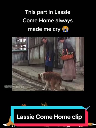 Lassie Come Home movie clip, may as well repost it, it always made me cry 🥹 #onthisday #movie #clips #lassie #dogsoftiktok