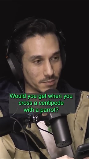 What do you parrto and centepeide ....