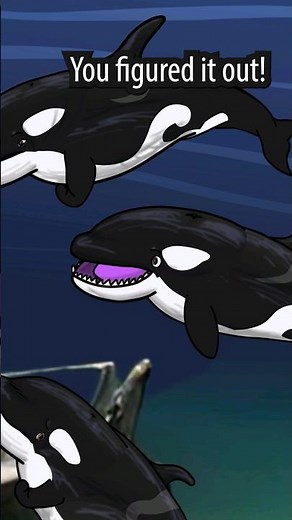 Livyatan figures out the Orca plot!